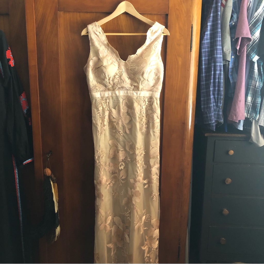 Adrianna Papell Pale Rose Lace Mother Of The Bride Dress